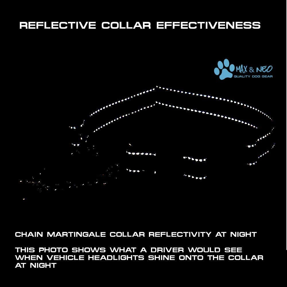 Stainless Steel Chain Martingale Collar - We Donate to a Dog Rescue for Every Collar Sold (Medium, Blue)