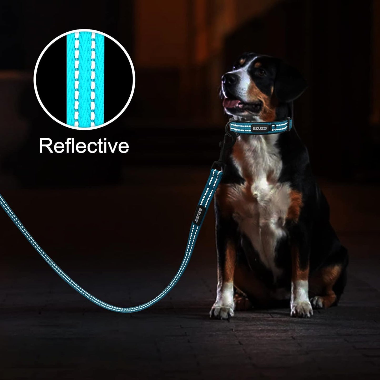 Durable Padded Dog Leash and Collar Set, with Airtag Holder and Reflective Strip, Extra Safe and Comfy for Medium Dogs,Blue