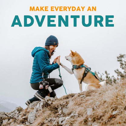 Embark Dog Collar - Adjustable Heavy Duty Outdoor Pet Training Collar | Built with Durable Waterproof Nylon, a Heavy Duty D-Shape Leash Attachment Hook, and an Adjustable Strap - Azure