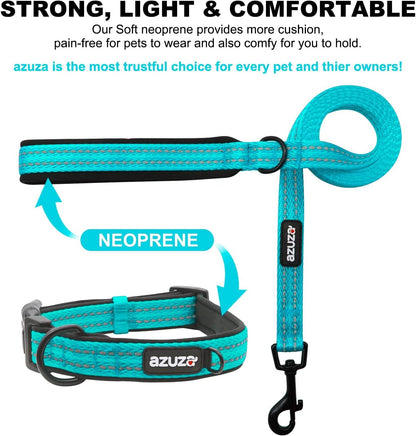 Durable Padded Dog Leash and Collar Set, with Airtag Holder and Reflective Strip, Extra Safe and Comfy for Medium Dogs,Blue