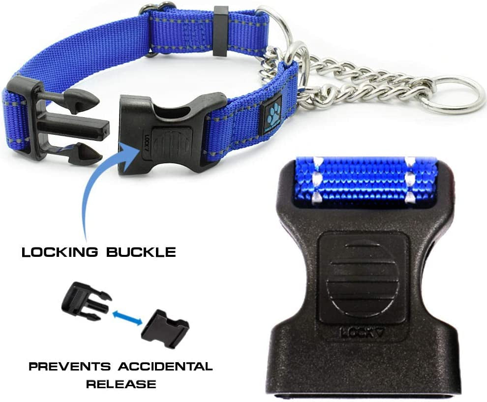 Stainless Steel Chain Martingale Collar - We Donate to a Dog Rescue for Every Collar Sold (Medium, Blue)