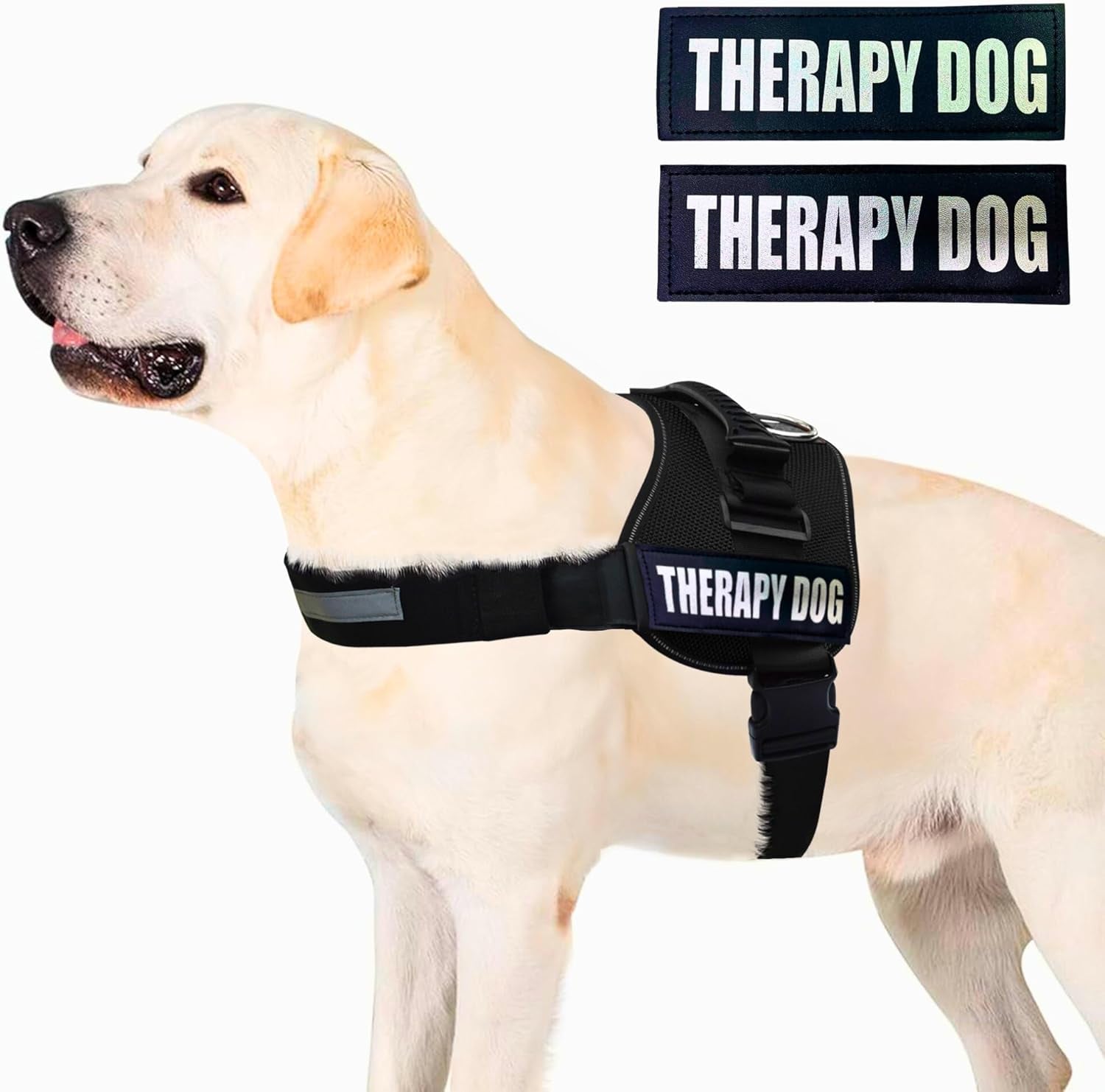 Reflective Therapy Dog Vest Harness with 2 Removable Patches, Adjustable Woven Nylon, for Therapy Visits and Volunteer Programs, Black, Extra Large