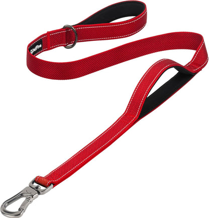 4FT Heavy Duty Dog Leash with Soft Padded Double Handle | Traffic Handle Extra Control,Auto Lock Hook,Reflective Nylon Walking Lead for Large,Medium,Small Breed Dogs