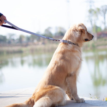 Short Dog Leash 24", Heavy Duty Nylon with Padded Handle | Durable for Loose-Leash Training, Fits S/M/L Dogs. for Walks/Jogs/Hikes & Crosswalks – Control & Safety. Gray