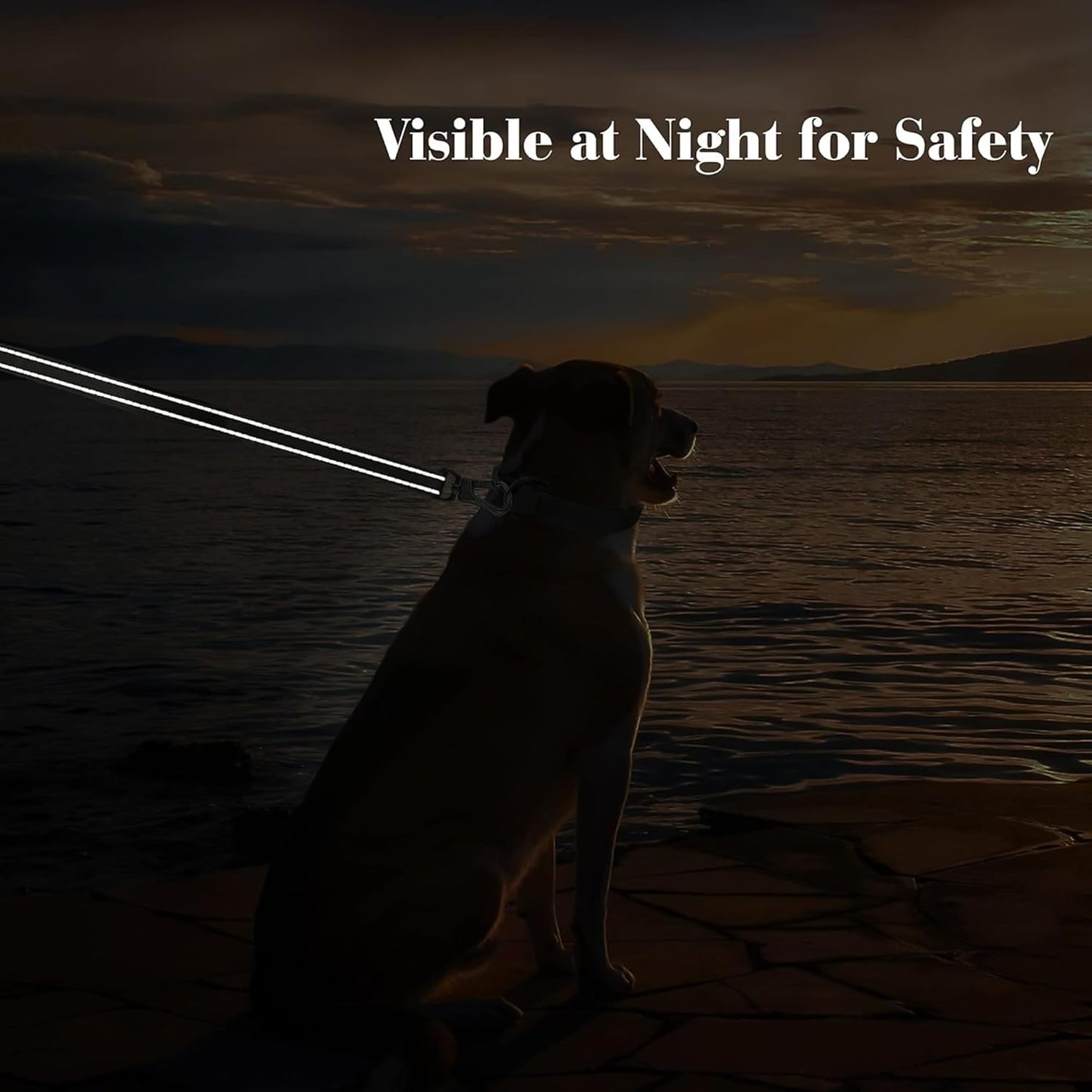 4FT Heavy Duty Dog Leash with Soft Padded Double Handle | Traffic Handle Extra Control,Auto Lock Hook,Reflective Nylon Walking Lead for Large,Medium,Small Breed Dogs