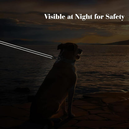 4FT Heavy Duty Dog Leash with Soft Padded Double Handle | Traffic Handle Extra Control,Auto Lock Hook,Reflective Nylon Walking Lead for Large,Medium,Small Breed Dogs