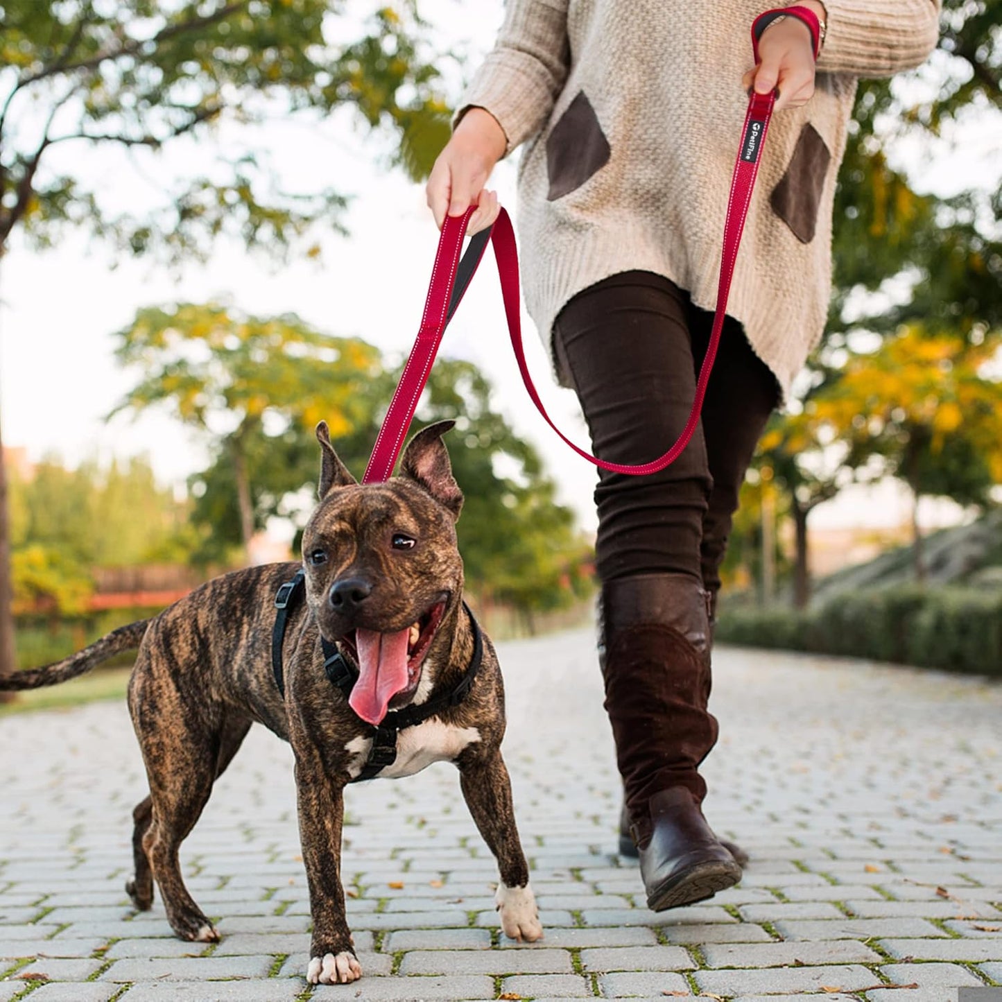 4FT Heavy Duty Dog Leash with Soft Padded Double Handle | Traffic Handle Extra Control,Auto Lock Hook,Reflective Nylon Walking Lead for Large,Medium,Small Breed Dogs