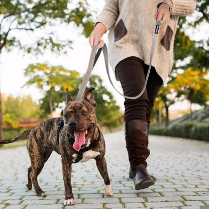 4FT Heavy Duty Dog Leash with Soft Padded Double Handle | Traffic Handle Extra Control,Auto Lock Hook,Reflective Nylon Walking Lead for Large,Medium,Small Breed Dogs
