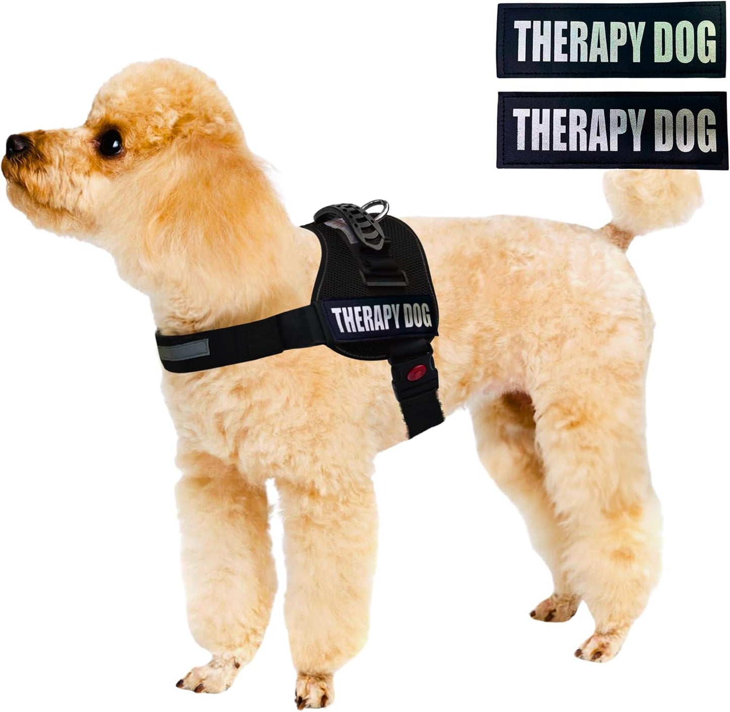 Reflective Therapy Dog Vest Harness with 2 Removable Patches, Adjustable Woven Nylon, for Therapy Visits and Volunteer Programs, Black, Extra Large