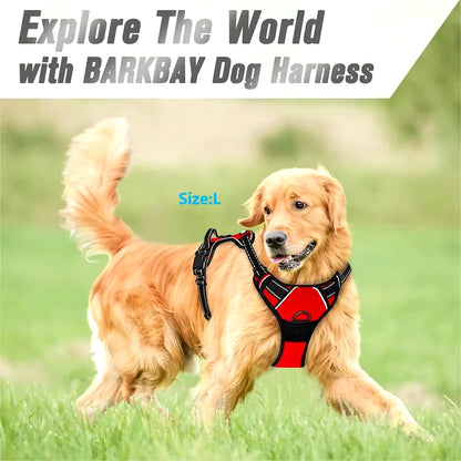 Dog Collars Harness Big Vests Leash Pet Shop Everything for Dogs Leather Puppy Accessories Medium Small Set