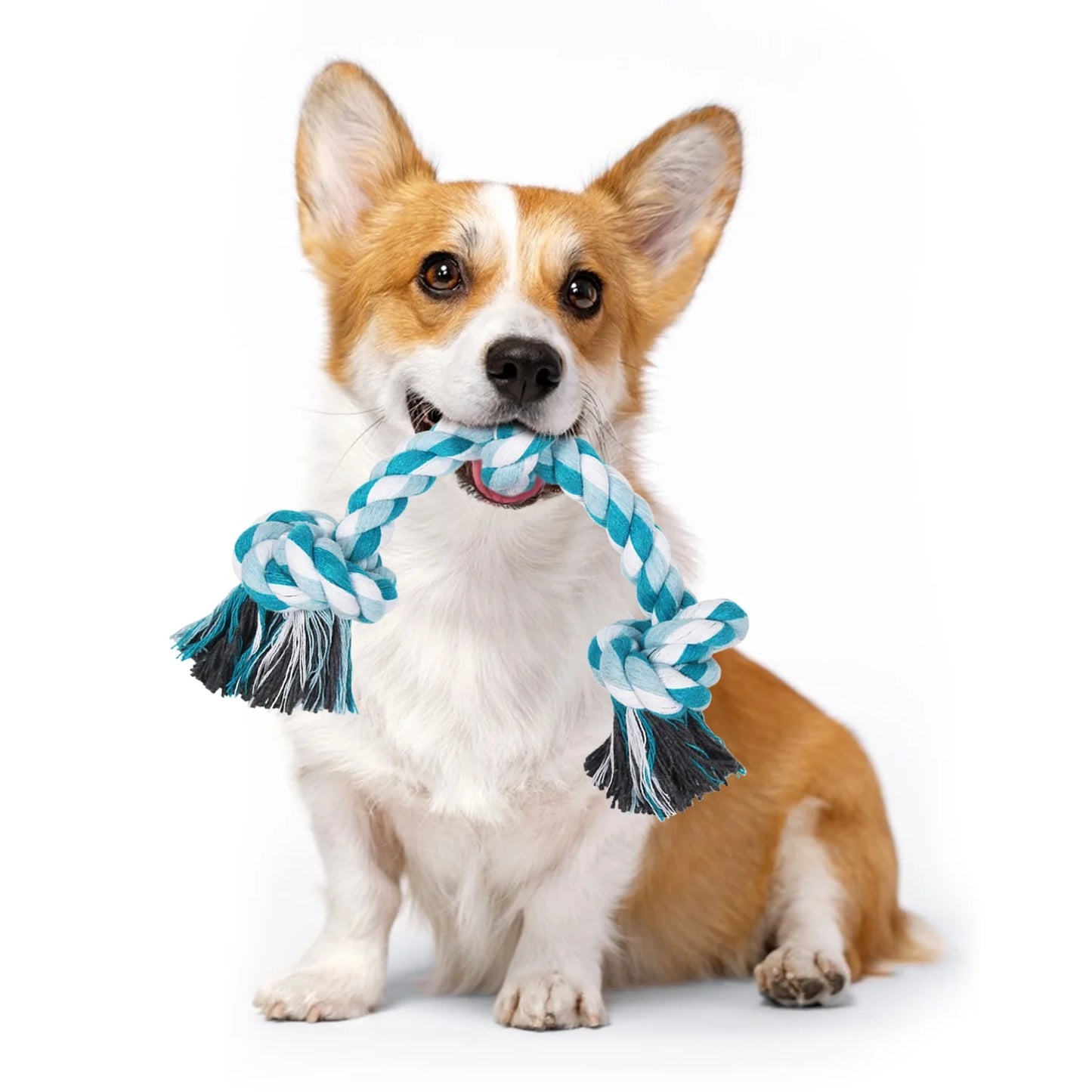 Durable Braided Cotton Dog Rope Toy with Three Knots - Ideal for Teeth Cleaning and Playtime (Blue)