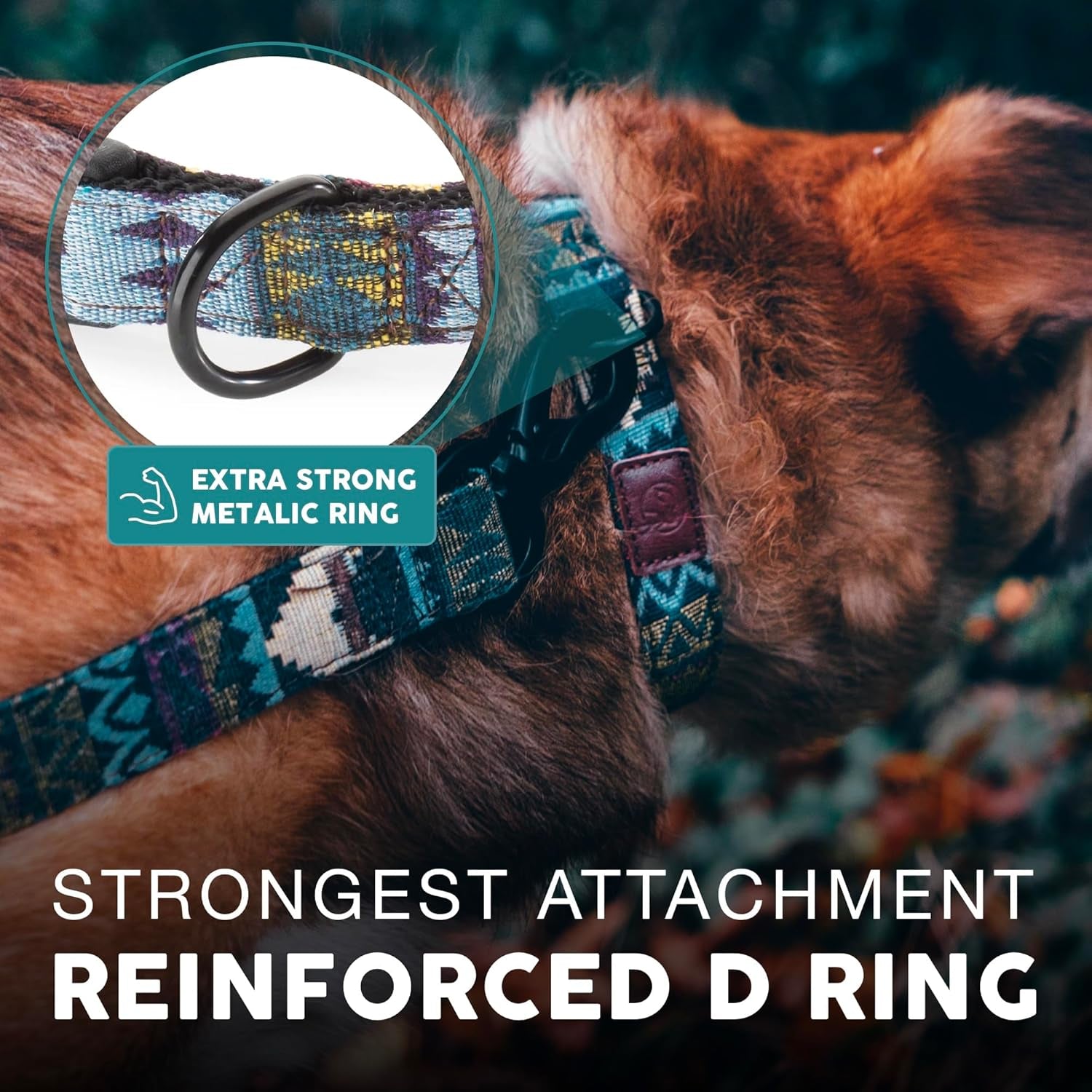 Embark Dog Collar - Adjustable Heavy Duty Outdoor Pet Training Collar | Built with Durable Waterproof Nylon, a Heavy Duty D-Shape Leash Attachment Hook, and an Adjustable Strap - Azure
